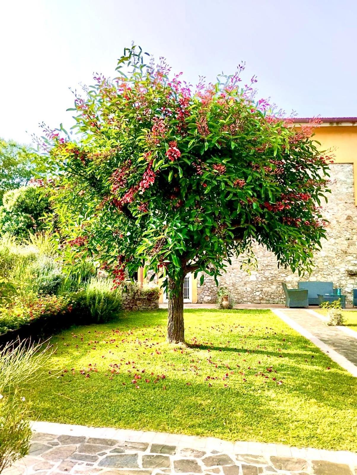 Country House Felicia Giungano Екстер'єр фото